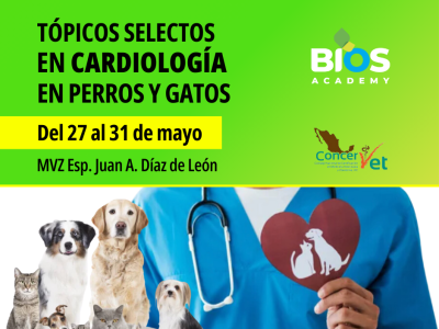 Tópicos Selectos en Cardiología de Perros y Gatos