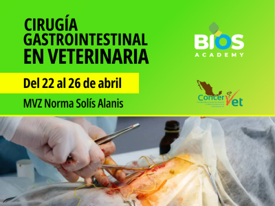 Cirugía Gastrointestinal Veterinaria