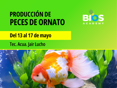 Producción exitosa de peces de ornato